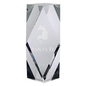 6" OptiMaxx Merit Award