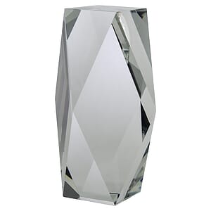 6" OptiMaxx Merit Award