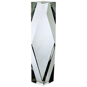 10" OptiMaxx Merit Award