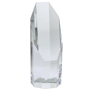 6" OptiMaxx Octagonal Tower Award