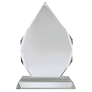 7" OptiMaxx Diamond Flame Award