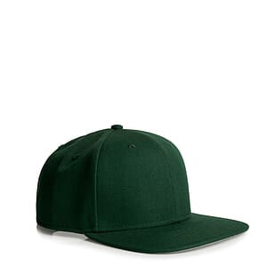 Stock Cap | 1100