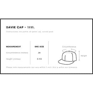Davie Six Panel Cap | 1111