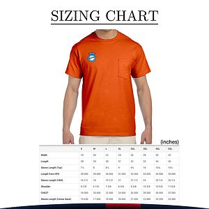 Gildan 6.1 oz. 100 Adult Cotton T-shirts