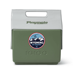 IGLOO ECOCOOL LITTLE PLAYMATE 7 QT BLANK* COOLER (Vintage Green)