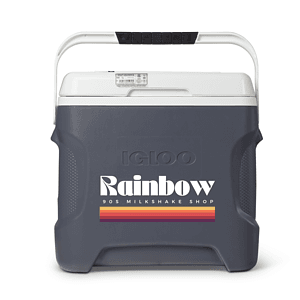 IGLOO VERSATEMP 28 QUART PORTABLE ELECTRIC COOLER (Carbonite Gray)