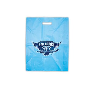Merchandise Bag 9" x 12" with die cut slot