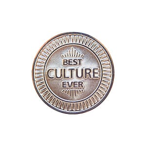 Zinc 1.5" Challenge Coin Nickel Plating