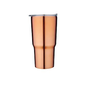 Traveler's Stainless 20 oz. Tumbler