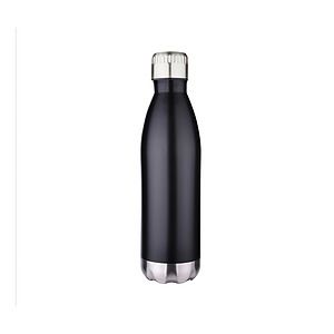 17 oz. Stainless Bottle