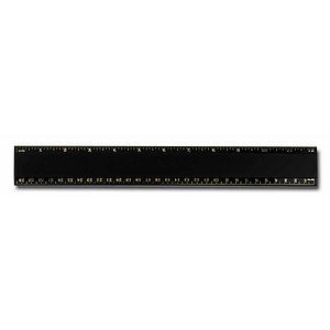 Pro-Scale 12" Plastic Ruler