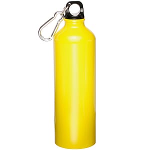 24 oz. Aluminum Water Bottles