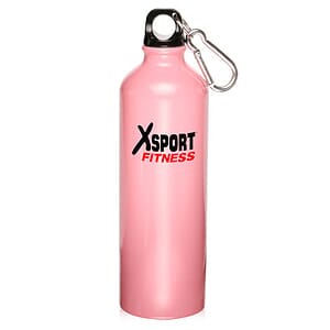 24 oz. Aluminum Water Bottles