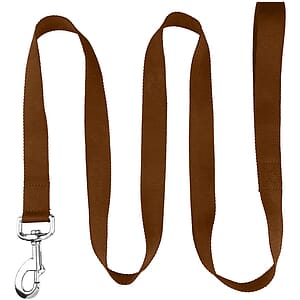 72"L rPET Eco-friendly Pet Leash with Carabiner