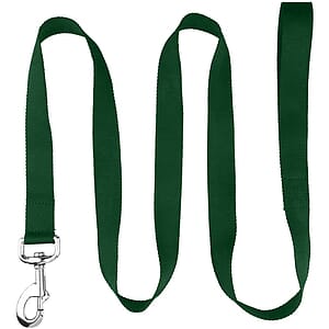 72"L rPET Eco-friendly Pet Leash with Carabiner