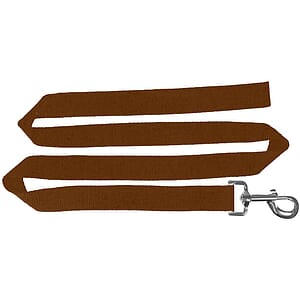 72"L Polyester Pet Leash with Metal Carabiner
