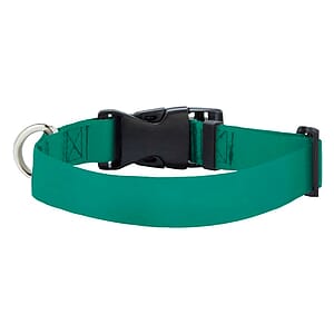 12"L Eco-friendly rPET Pet Collar