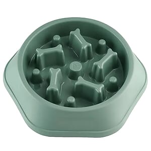 Slow Food Feeding Pet Bowl