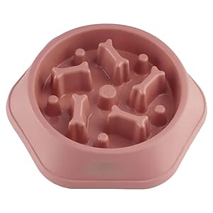 Slow Food Feeding Pet Bowl