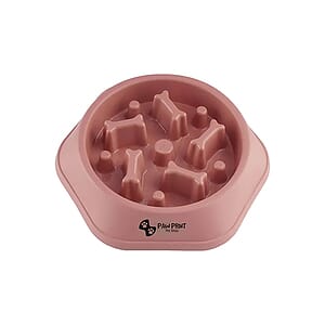 Slow Food Feeding Pet Bowl