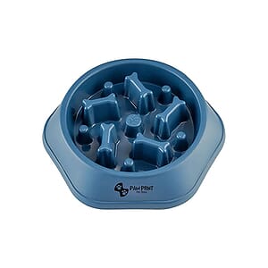 Slow Food Feeding Pet Bowl