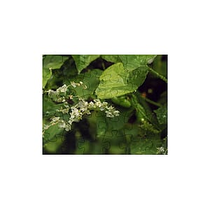 30 Piece Jigsaw Photo Puzzle