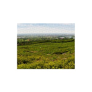 252 Piece Jigsaw Photo Puzzle