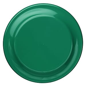 9.25 in. Solid Color Flying Discs 