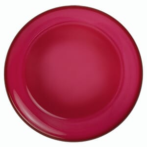 9.25 in. Solid Color Flying Discs 