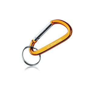 Metal Carabiner Keychains