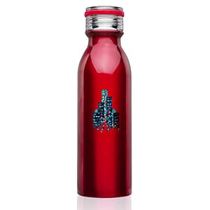 20 oz. Echo Stainless Steel Water Bottles