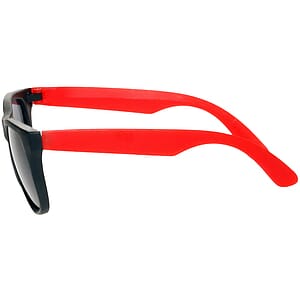 Two Tone Plastic Sunglasses