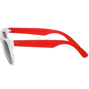 Two Tone Plastic Sunglasses