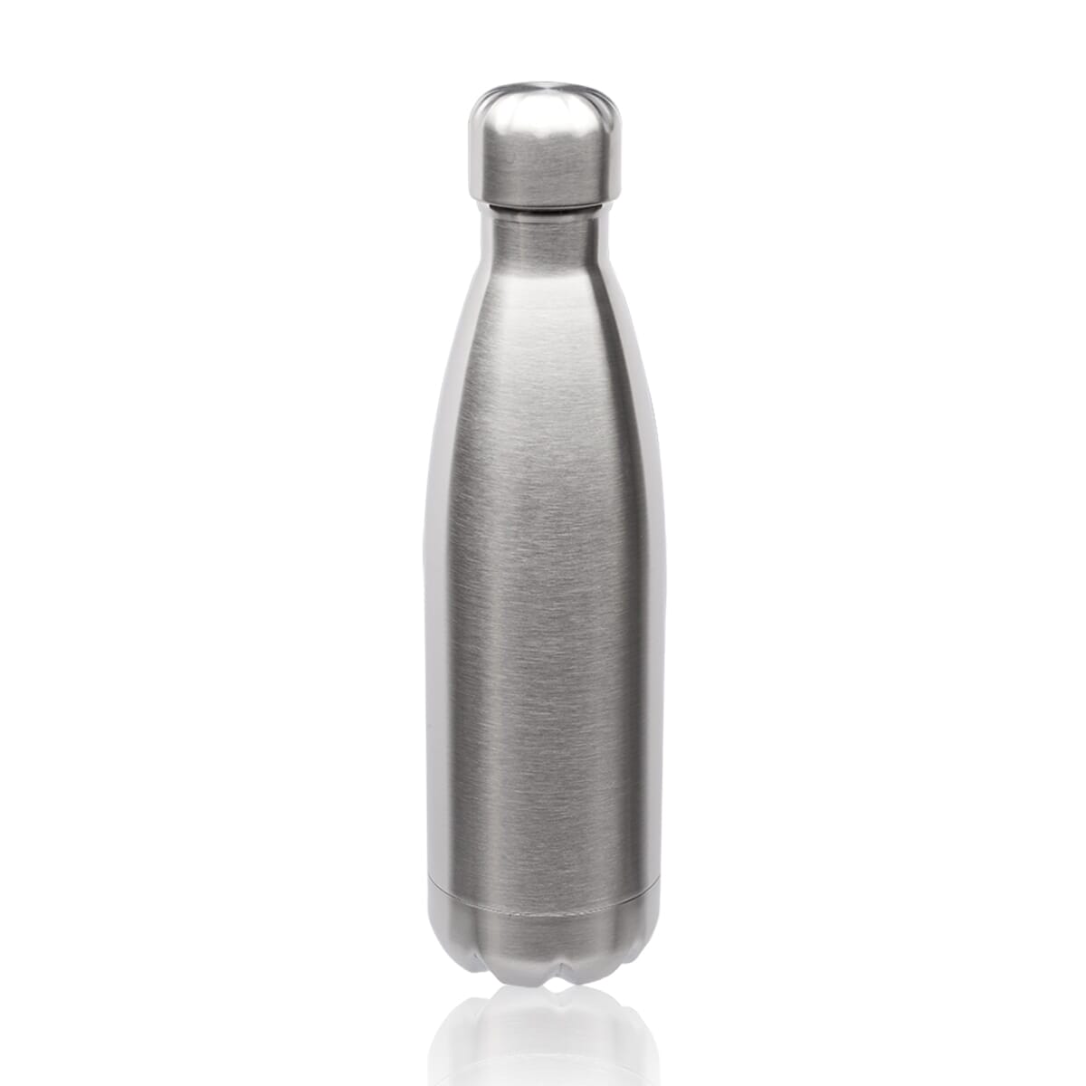 17oz Stainless Steel Levian Cola Shaped Bottles
