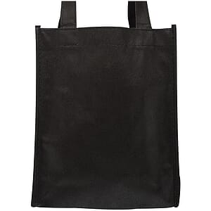 Small Non-Woven Gift Bags