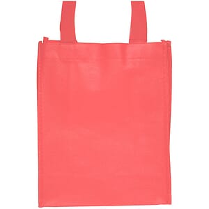 Small Non-Woven Gift Bags
