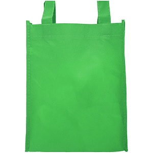 Small Non-Woven Gift Bags