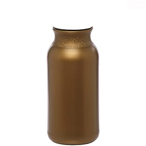 20 oz. Water Bottles with Push Cap