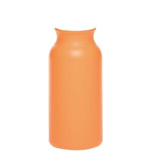 20 oz. Water Bottles with Push Cap