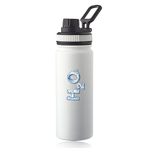 Houston 23 oz. Stainless Steel Water Bottle with Carrying Handle