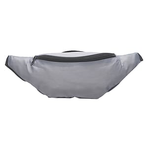 Basic Delsey Polyester Fanny Packs