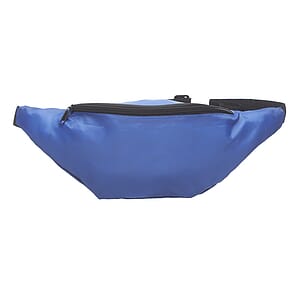 Basic Delsey Polyester Fanny Packs