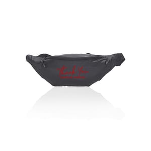 Basic Delsey Polyester Fanny Packs
