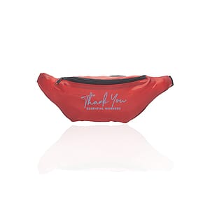 Basic Delsey Polyester Fanny Packs