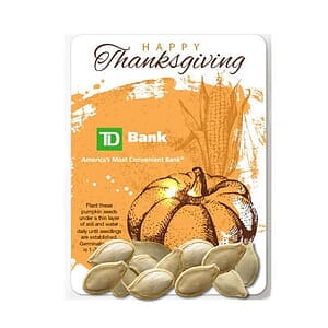 Pumpkin Seed Packets