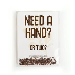 Evergreen Seed Packets