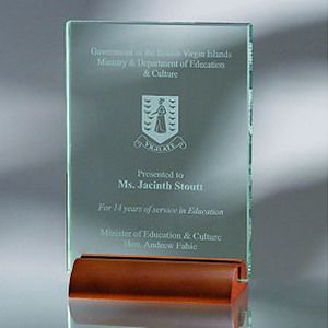 8" Award- Awards, Trophy, Plaque w/ Wood Base