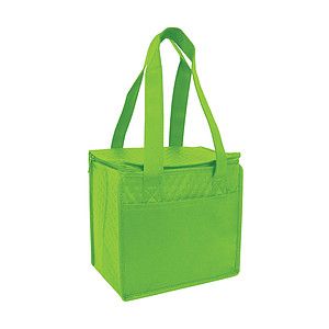 Compact Snack Pack Cooler tote bag