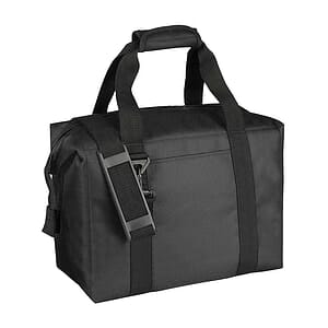 Insulated Picnic Cooler