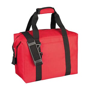 Insulated Picnic Cooler